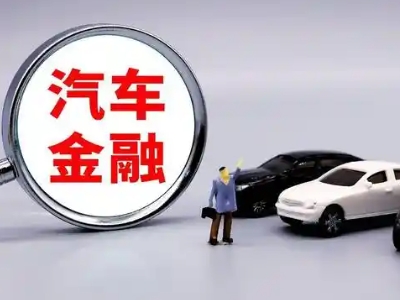 南岔押车贷款不是本人可以么?